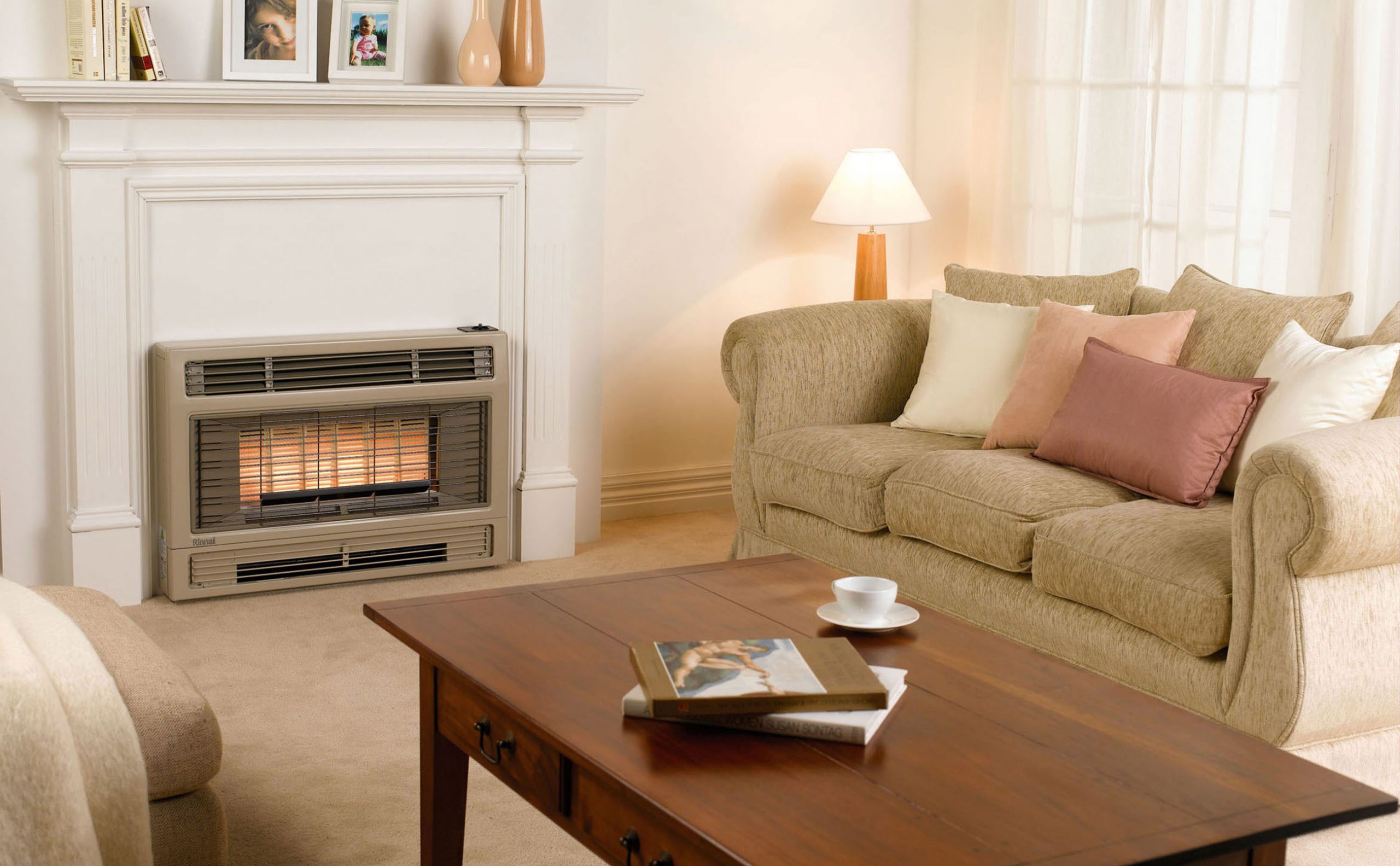 Rinnai 2001 Inbuilt Gas Flued Space Heater (lifestyle - living room)