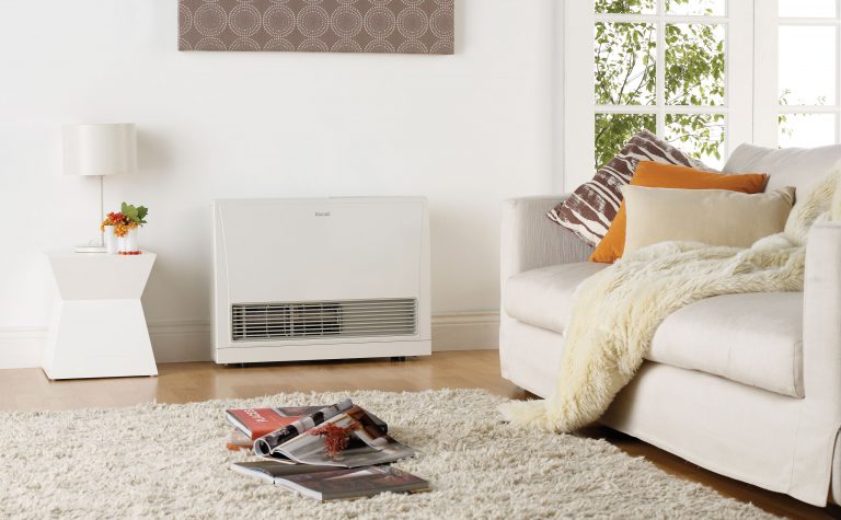 Energysaver 1005FT Gas Flued Heater