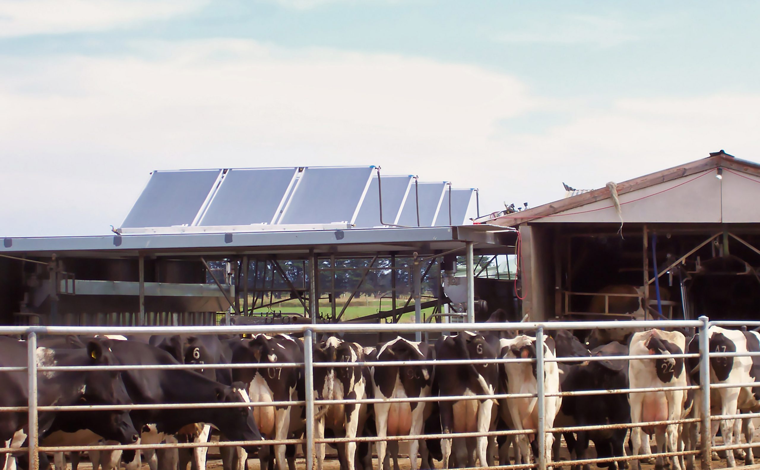 Rinnai Commercial Solar Pre-heat System (rooftop - dairy)